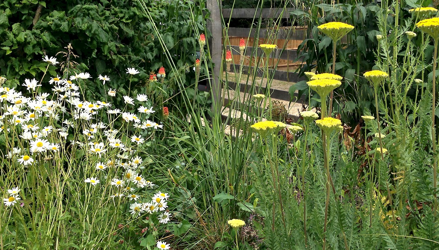 Large Country Garden