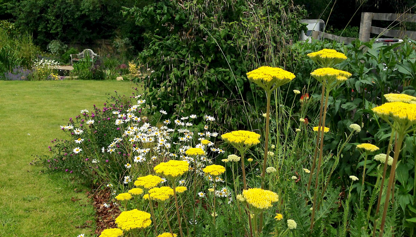 Large Country Garden