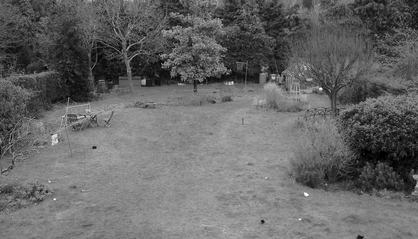 Guildford Garden