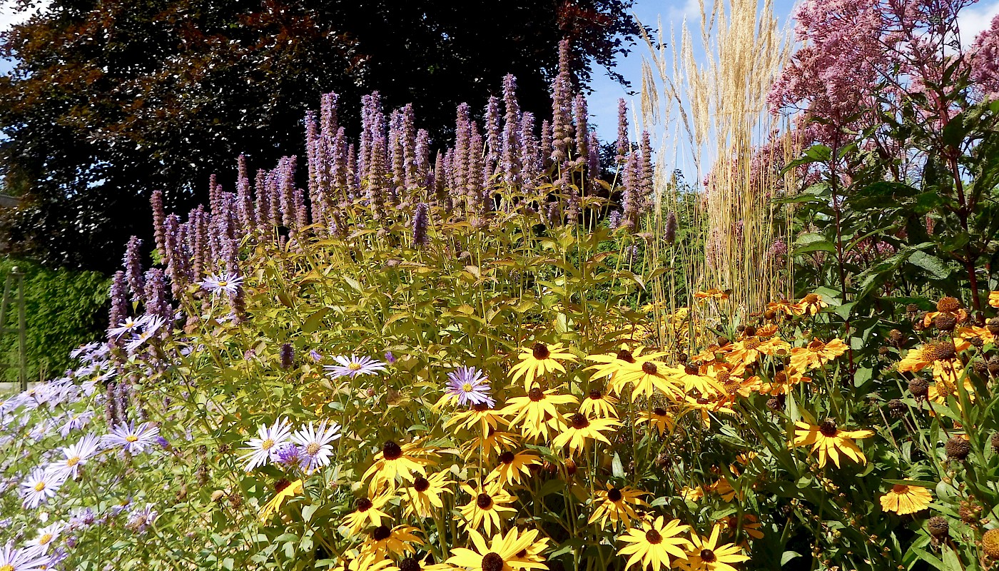 Guildford Garden