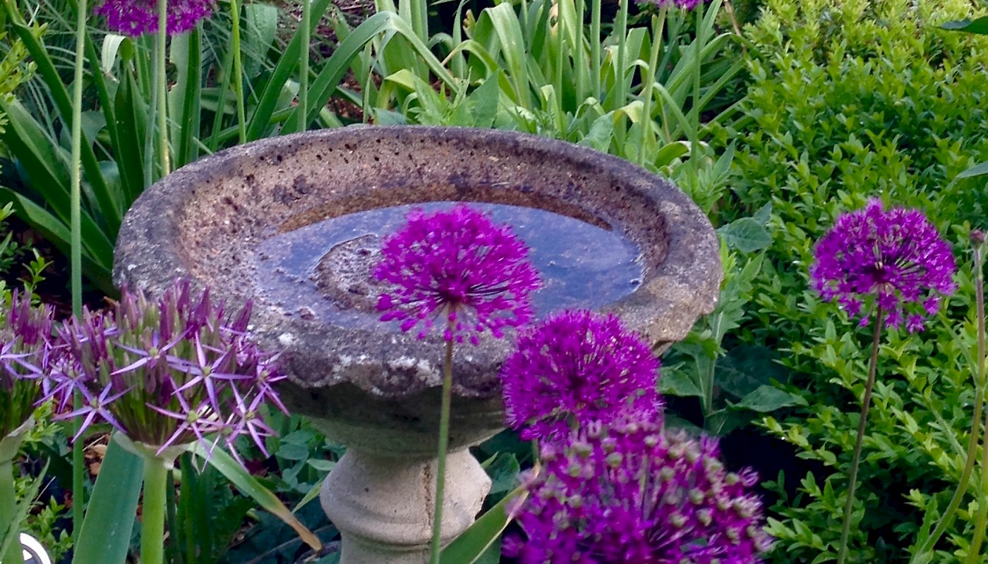 Water feature