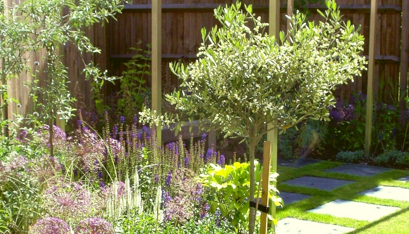 Weybridge Garden