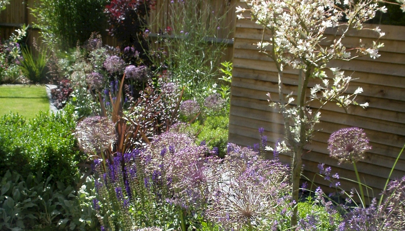 Weybridge Garden