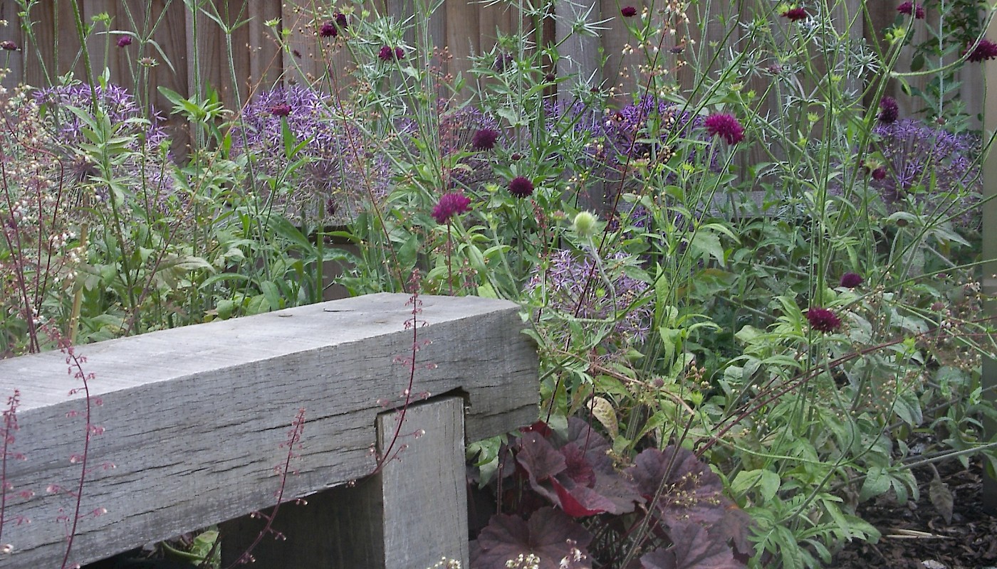 Weybridge Garden