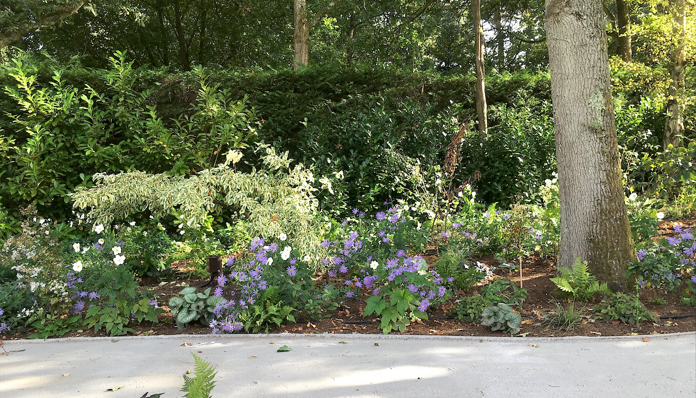 Worplesdon Garden