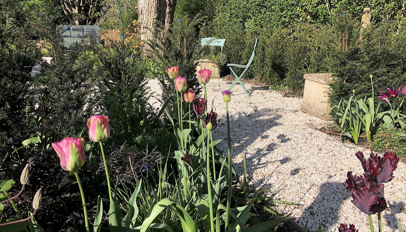 Surrey garden with wildflower meadow