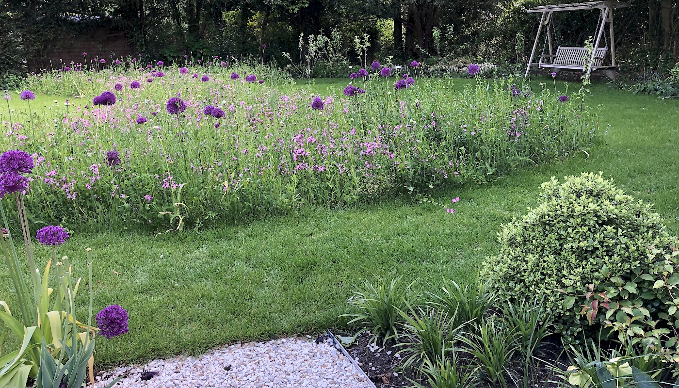 Surrey garden with wildflower meadow