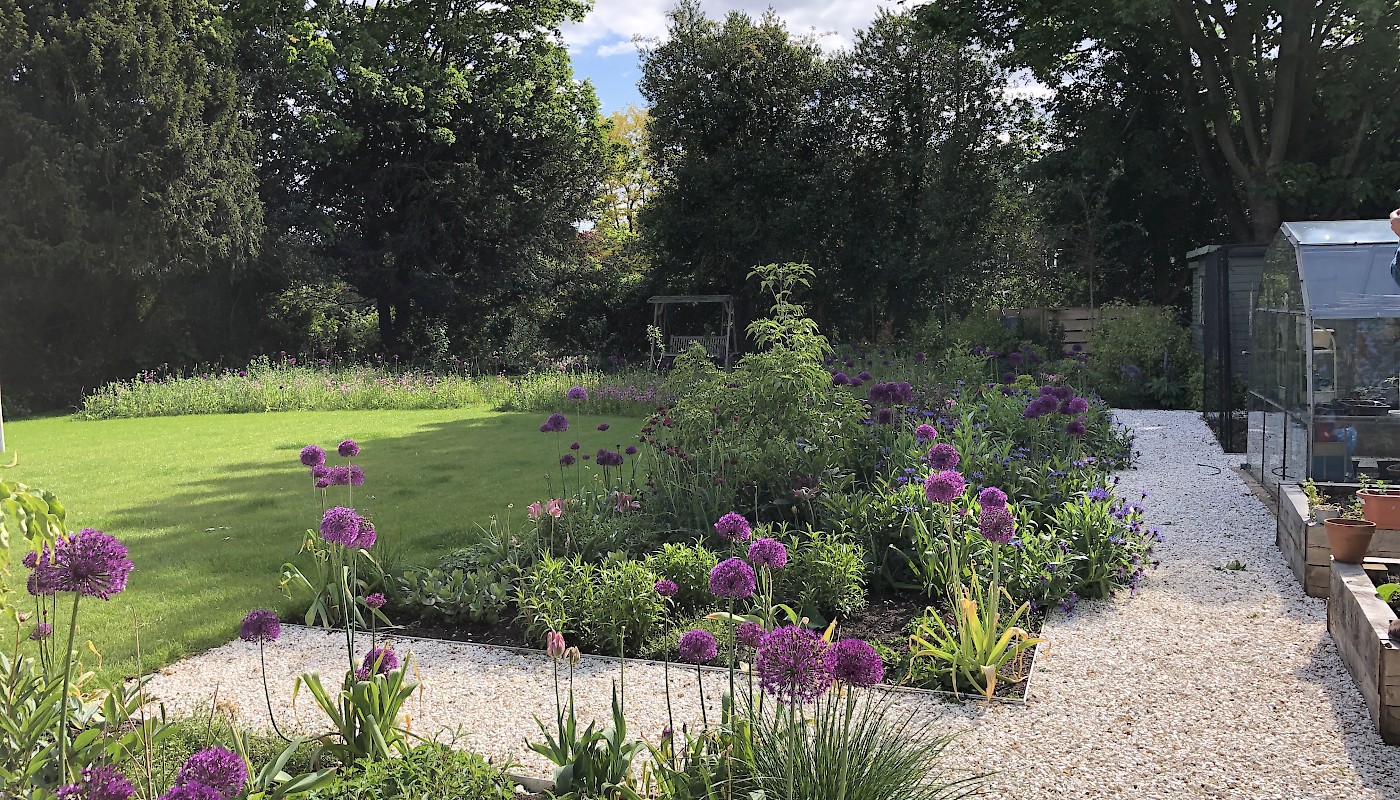 Surrey garden with wildflower meadow